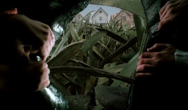 Movie still of the backyard in Honey, I Shrunk the Kids (1989)