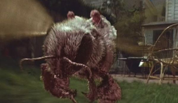 Movie still of Robert Oliveri as Nick Szalinski and Thomas Wilson Brown as Russ Thompson Jr. in Honey, I Shrunk the Kids (1989)