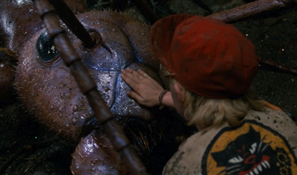 Movie still of Thomas Wilson Brown as Russ Thompson in Honey, I Shrunk the Kids (1989)