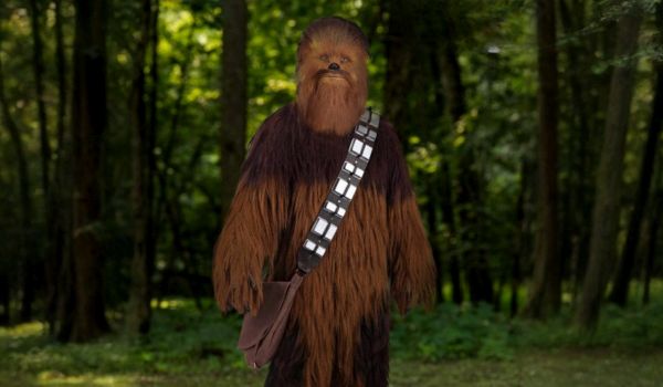 Star Wars Men's Authentic Star Wars Chewbacca Costume from Halloween Costumes