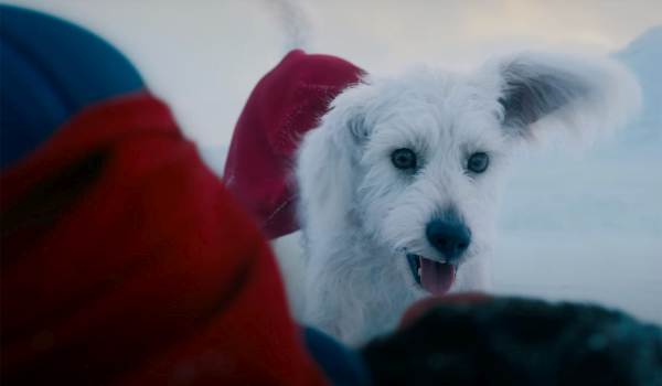 Movie still of Krypto the Superdog in Superman (2025)
