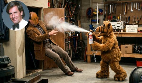 Alf fights Willie who's taken over the body of WIllie