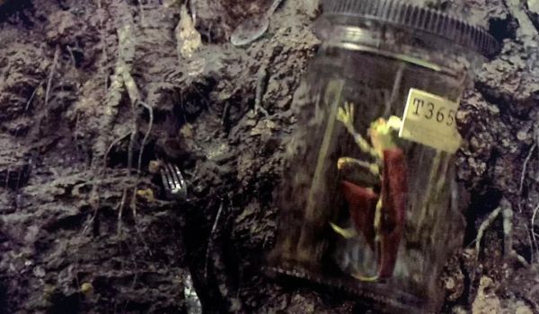 Throg in a Jar in Marvel Studios' Loki (2021)